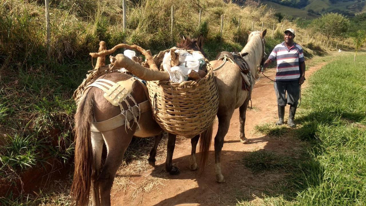 Quinta Do Papagaio Villa Pouso Alto Eksteriør billede