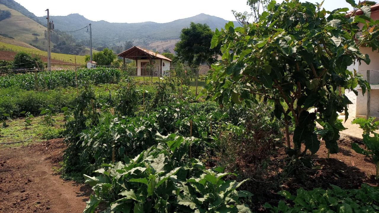 Quinta Do Papagaio Villa Pouso Alto Eksteriør billede